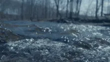 Waves with trees in the background
